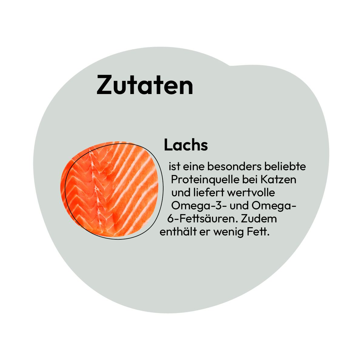 Lachs Pur (Pouchbeutel)