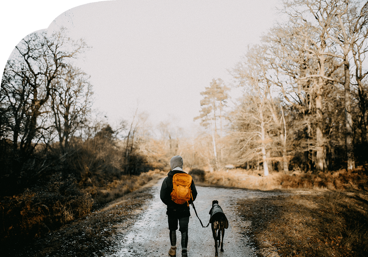 Hund und Mensch wandern in der Natur
