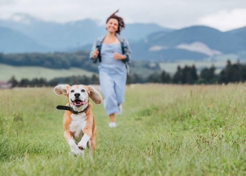 Beagle und Frau rennen durch die Berge